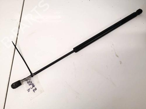 tailgate-lift-support-renault-scenic-ii-jm01_-2003-2004-2005-2006-2007-2008-2009-2010-35321634 main image