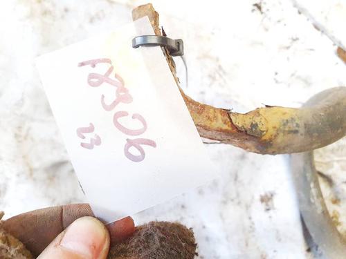 Anti roll bar FORD S-MAX (WA6) 2.0 TDCi | BP35285048M96 - Image 2