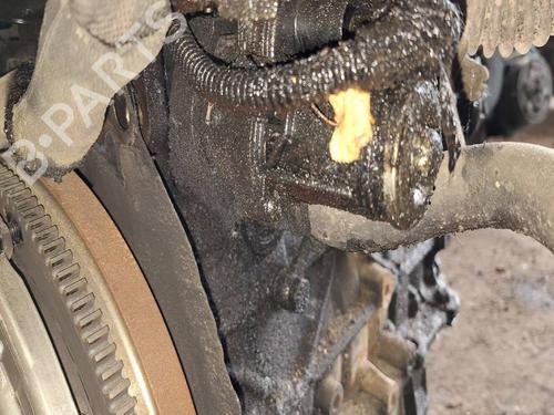 Used Egr Egr 36659272 36659272
