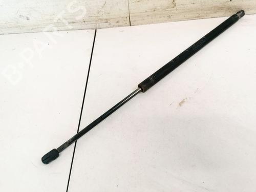 tailgate-lift-support-fiat-stilo-192_-2001-2002-2003-2004-2005-2006-2007-2008-2009-2010-35447268 main image