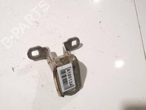 hingedoor-check-strap-renault-scenic-ii-jm01_-2003-2004-2005-2006-2007-2008-2009-2010-33837762 main image