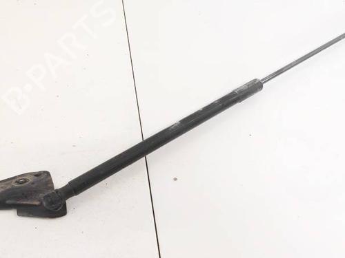 tailgate-lift-support-ford-focus-iii-2010-2011-2012-2013-2014-2015-2016-2017-2018-2019-2020-35219407 main image
