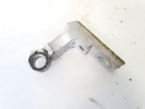 hingedoor-check-strap-vw-passat-b55-3b3-2000-2001-2002-2003-2004-2005-32889490 main image