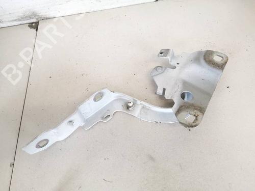 Hinge/Door check strap RENAULT ZOE (BFM_) ZOE | BP35248285C146 - Image 3