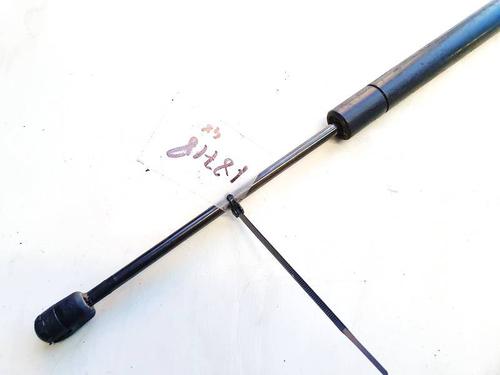 tailgate-lift-support-renault-scenic-ii-jm01_-2003-2004-2005-2006-2007-2008-2009-2010-35335785 main image