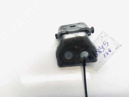 hingedoor-check-strap-peugeot-307-3ac-2000-2001-2002-2003-2004-2005-2006-2007-2008-2009-2010-2011-2012-33089405 main image