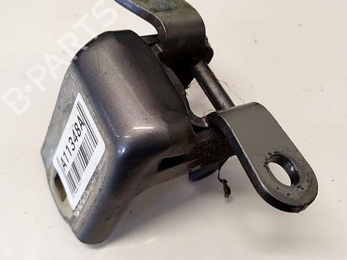 hingedoor-check-strap-opel-insignia-a-saloon-g09-2008-2009-2010-2011-2012-2013-2014-2015-2016-2017-34712690 main image