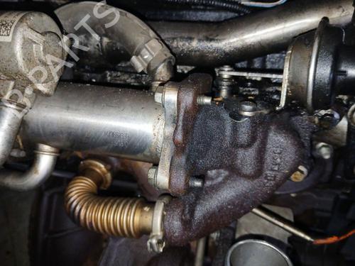 Egr Egr 37456301 37456301