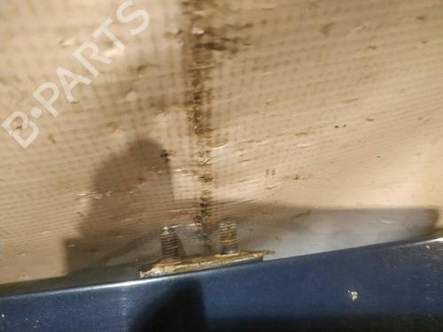 hingedoor-check-strap-toyota-auris-_e15_-2006-2007-2008-2009-2010-2011-2012-2013-39968429 main image