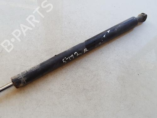 tailgate-lift-support-renault-laguna-ii-bg01_-2001-2002-2003-2004-2005-2006-2007-35855114 main image