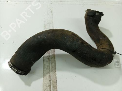Used Pipe CITROËN C5 III (RD_) 2.0 HDi (RDRHD8, RDRHDJ, RDRHR8, RDRHRJ) (136 hp) 32531042