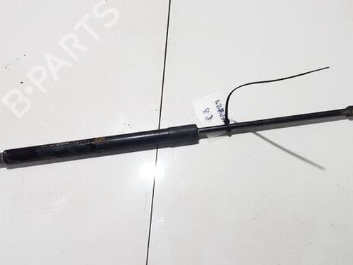 Used Tailgate lift support Tailgate lift support CHEVROLET LACETTI (J200) 2.0 D (121 hp) 35881818 35881818