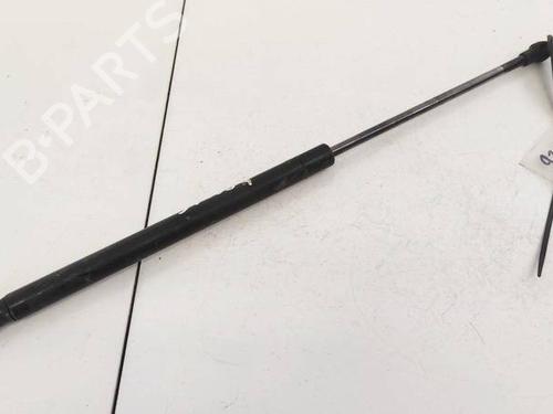 tailgate-lift-support-citroen-c1-pm_-pn_-2005-2006-2007-2008-2009-2010-2011-2012-2013-2014-35243052 main image