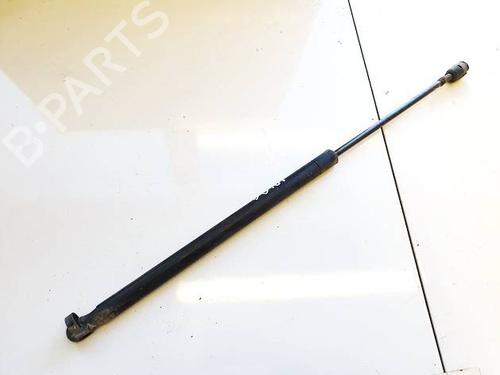 tailgate-lift-support-renault-scenic-ii-jm01_-2003-2004-2005-2006-2007-2008-2009-2010-35020521 main image