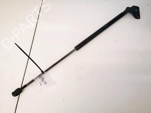 tailgate-lift-support-ford-focus-c-max-dm2-2003-2004-2005-2006-2007-35315323 main image