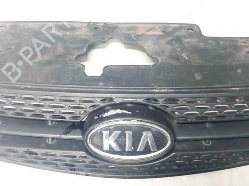Used Grille Grille 35341874 35341874