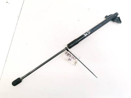 tailgate-lift-support-renault-megane-iii-hatchback-bz01_-b3_-2008-35359359 main image