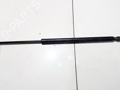 gasdmper-bagklap-peugeot-607-9d-9u-2000-35878075 main image