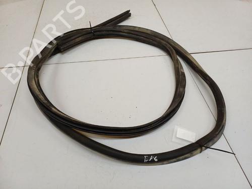Gummiliste DODGE JOURNEY 2.0 CRD | BP38716058C142 - Image 3