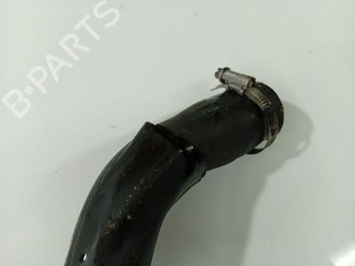 Pipe NISSAN PRIMERA Hatchback (P12) 1.9 dCi | BP33489916M125 - Image 4