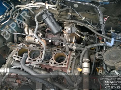 Engine mount FORD FOCUS II (DA_, HCP, DP) 1.8 TDCi | BP33483361M89 - Image 9