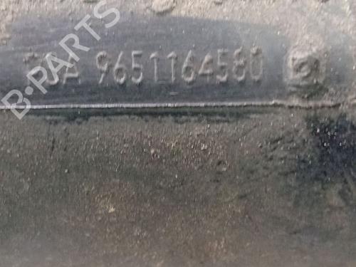 Pipe CITROËN C5 III (RD_) 2.0 HDi (RDRHD8, RDRHDJ, RDRHR8, RDRHRJ) | BP32531045M125