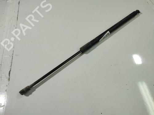 tailgate-lift-support-chevrolet-captiva-c100-c140-2006-34826899 main image