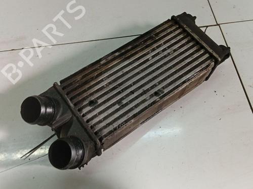 Intercooler Intercooler CITROËN BERLINGO MULTISPACE (B9) 1.6 HDi 90 (90 hp) 34795940 34795940