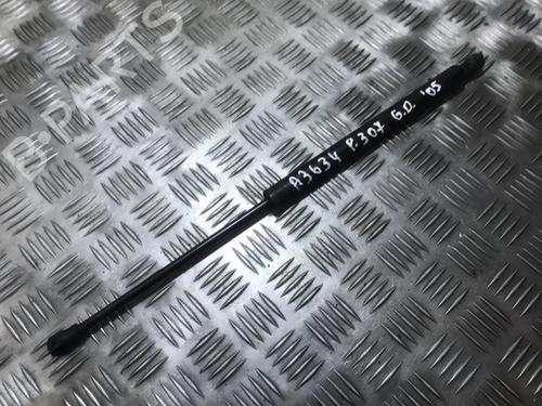 tailgate-lift-support-peugeot-307-3ac-2000-2001-2002-2003-2004-2005-2006-2007-2008-2009-2010-2011-2012-35671746 main image