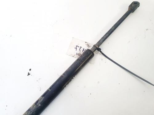 tailgate-lift-support-ford-focus-i-daw-dbw-1998-1999-2000-2001-2002-2003-2004-2005-2006-2007-2008-2009-35444510 main image
