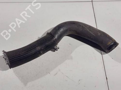 BP32610612M125 main image