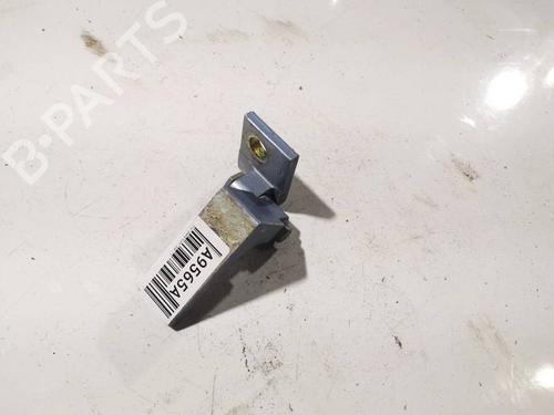 hingedoor-check-strap-fiat-grande-punto-199_-2005-34203931 main image