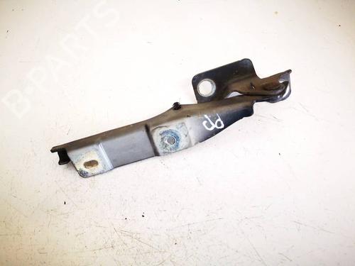 Used Hinge/Door check strap Hinge/Door check strap CITROËN C3 II (SC_) 1.4 HDi 70 (SC8HZC, SC8HR0, SC8HP4) (68 hp) 34987843 34987843