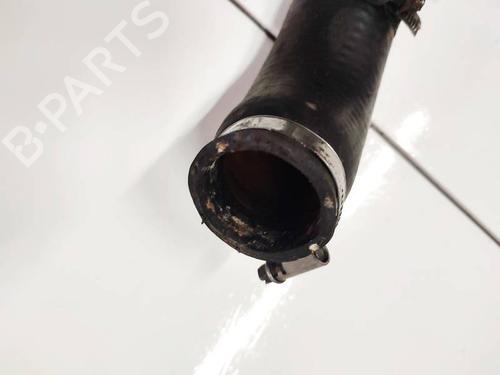 Pipe CHEVROLET CAPTIVA (C100, C140) 2.0 D | BP35032527M125 - Image 3