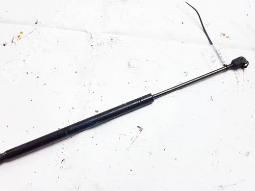 tailgate-lift-support-renault-scenic-ii-jm01_-2003-2004-2005-2006-2007-2008-2009-2010-35881875 main image