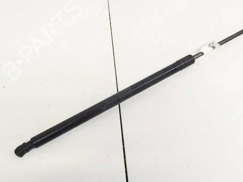 tailgate-lift-support-honda-cr-v-iii-re_-2006-35110072 main image