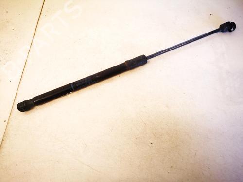 tailgate-lift-support-renault-megane-iii-hatchback-bz01_-b3_-2008-35535443 main image