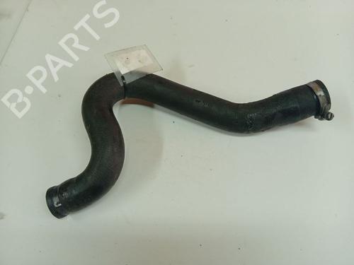 Pipe NISSAN PRIMERA Hatchback (P12) 1.9 dCi | BP36658554M125 - Image 2