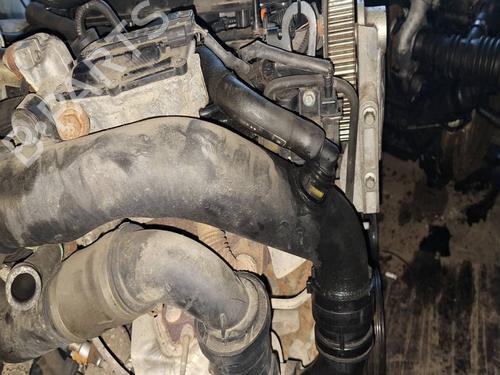 Pipe RENAULT MEGANE III Hatchback (BZ0/1_, B3_) 1.9 dCi (BZ0N, BZ0J) | BP40243621M125 - Image 2