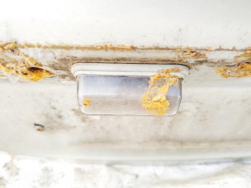 Used Licence plate light Licence plate light 35499097 35499097