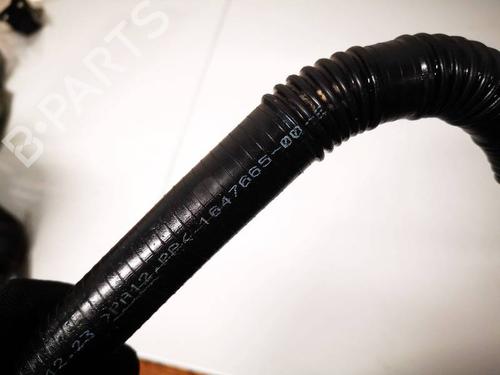 Other TESLA MODEL Y (5YJY) Long Range All-wheel Drive | BP32537526O1 