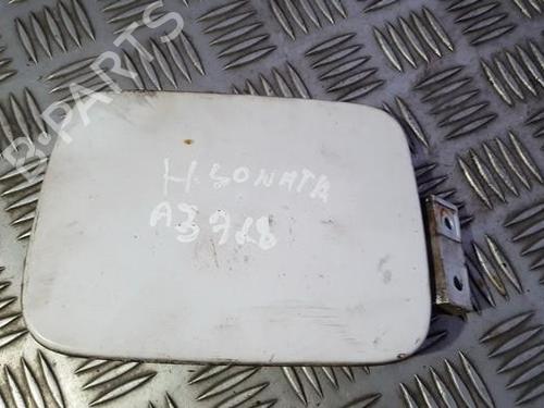 fuel-flap-hyundai-sonata-iv-ef-1998-1999-2000-2001-2002-2003-2004-2005-35686725 main image