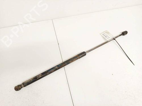 tailgate-lift-support-ford-fiesta-vi-cb1-ccn-2008-34873881 main image