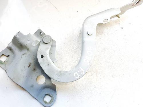 Hinge/Door check strap RENAULT ZOE (BFM_) ZOE | BP35075875C146 - Image 2