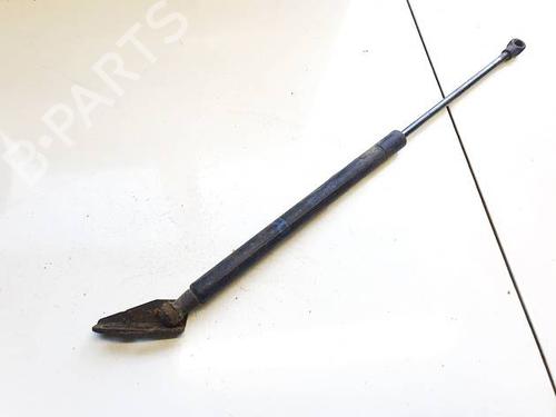 tailgate-lift-support-toyota-auris-_e15_-2006-2007-2008-2009-2010-2011-2012-2013-34924021 main image