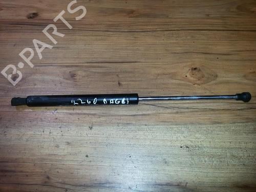 tailgate-lift-support-renault-clio-iii-br01-cr01-2005-2006-2007-2008-2009-2010-2011-2012-2013-2014-35842300 main image