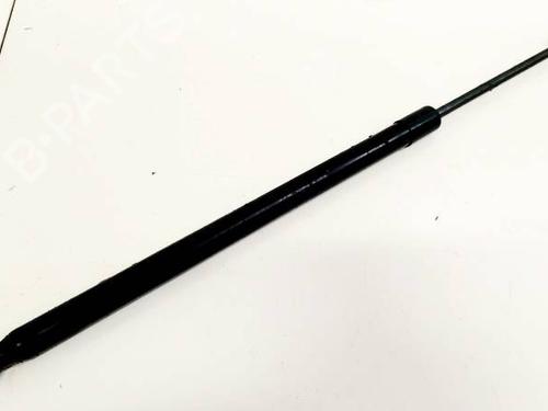hood-lift-support-jeep-compass-mk49-2006-35153116 main image