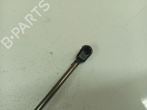 Tailgate lift support AUDI A8 D3 (4E2, 4E8) 4.0 TDI quattro | BP38766213C138 - Image 2