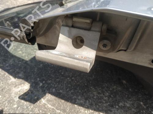 hingedoor-check-strap-lancia-phedra-179_-2002-2003-2004-2005-2006-2007-2008-2009-2010-32912832 main image