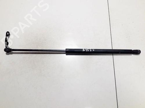 tailgate-lift-support-toyota-yaris-_p1_-1999-2000-2001-2002-2003-2004-2005-35848413 main image